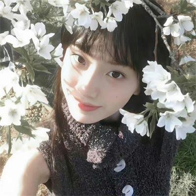 薇拉与伊娃